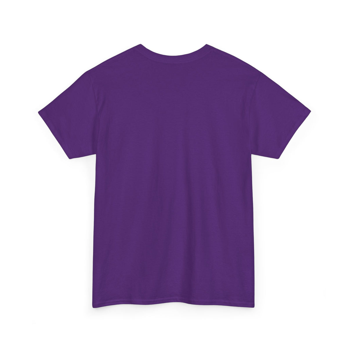 Ride NICA Tee (Unisex)