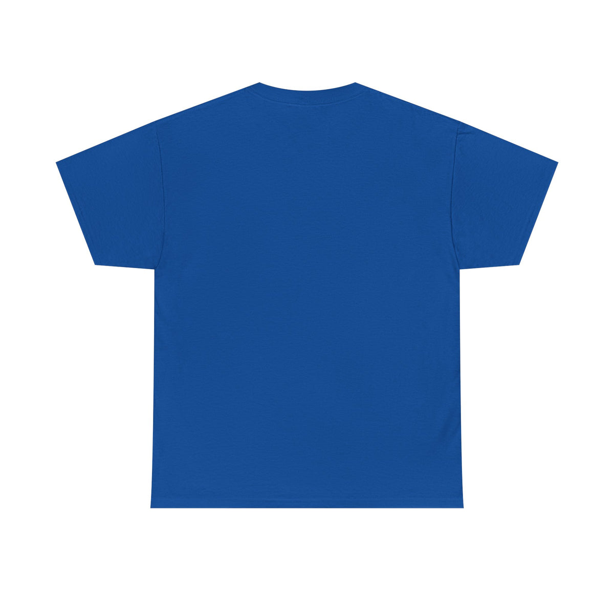 Ride NICA Tee (Unisex)