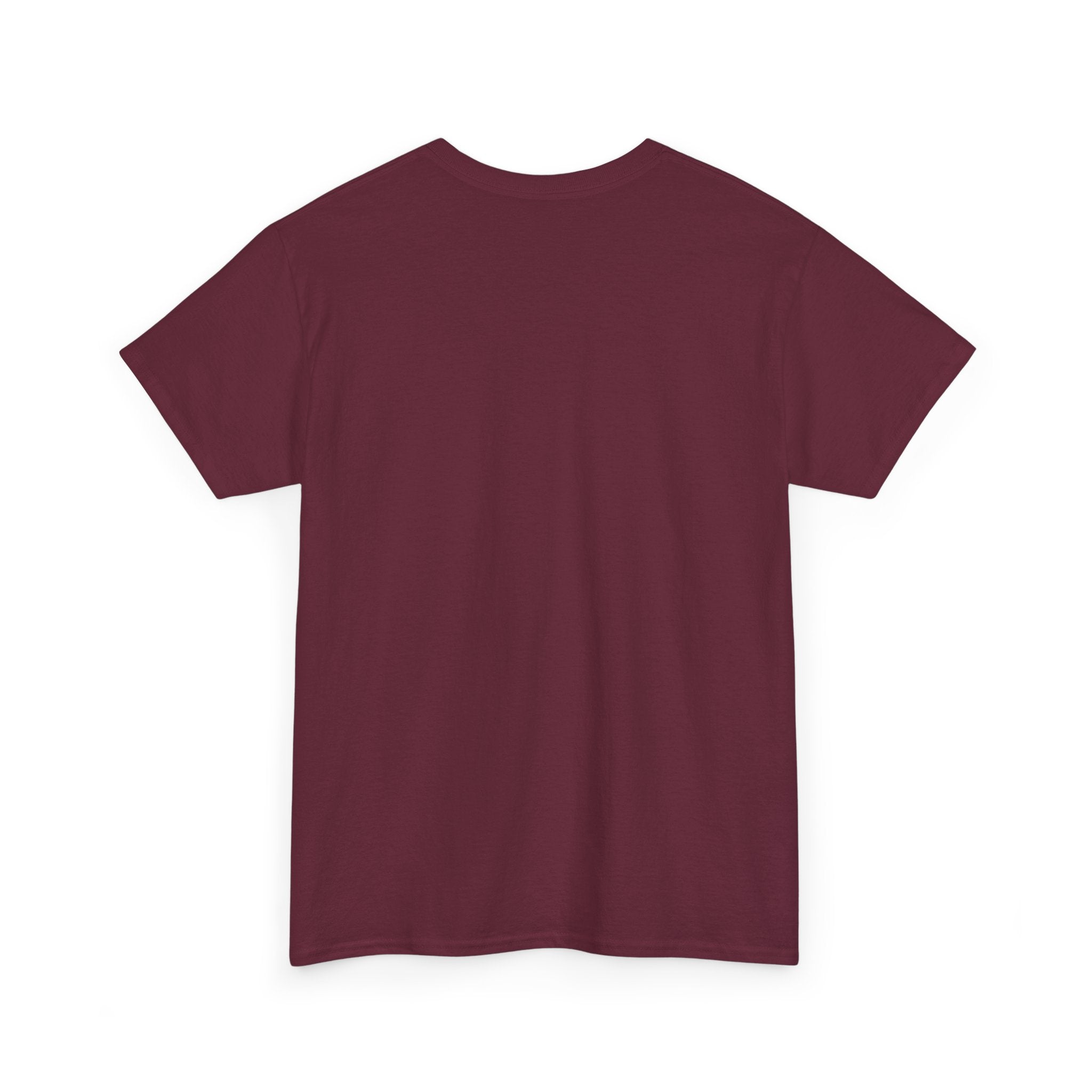 Ride NICA Tee (Unisex)