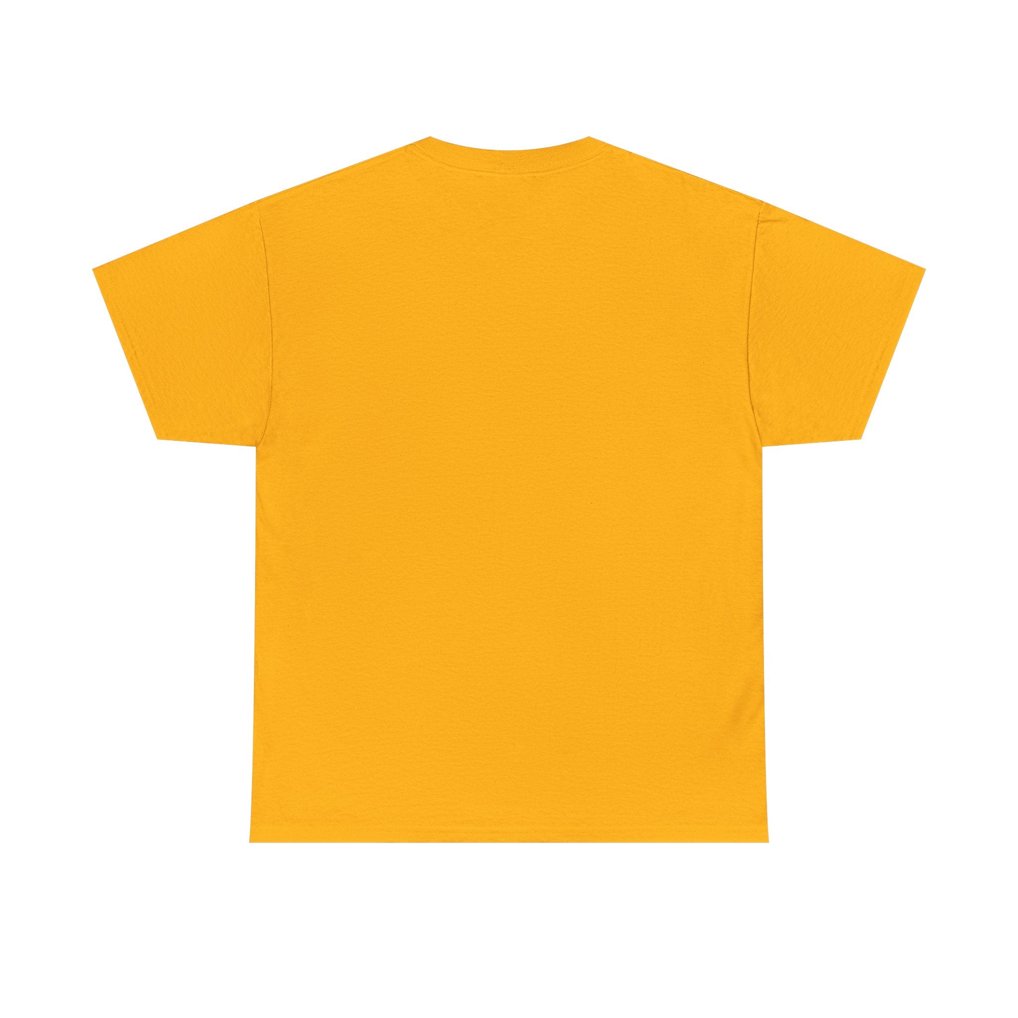 Ride NICA Tee (Unisex)